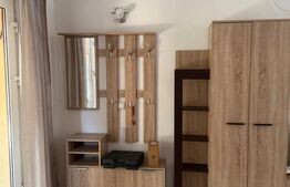 Apartament cu o camera si terasa, curte comuna, Zona Steaua - 275 euro