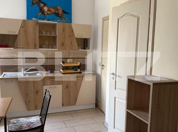 Garsonieră de închiriat Steaua - 202529AI | BLITZ Timișoara | Poza7