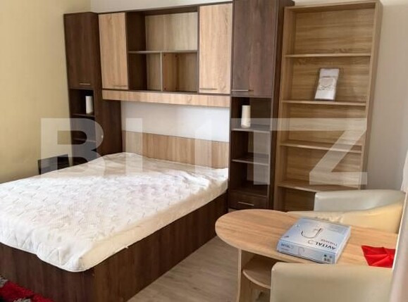 Garsonieră de închiriat Steaua - 202529AI | BLITZ Timișoara | Poza3