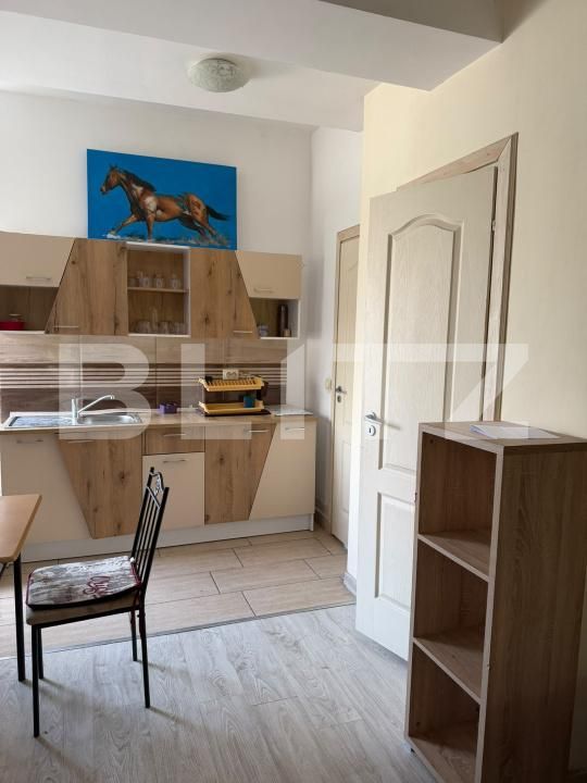 Garsonieră de închiriat Steaua - 202529AI | BLITZ Timișoara | Poza7