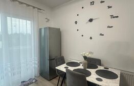 Apartament Modern 2 camere, zona Aradului , 600 euro negociabil