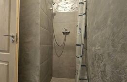 Proprietate de inchirat, 19 dormitoare, zona Dumbravita 