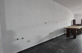 Proprietate de inchirat, 19 dormitoare, zona Dumbravita 