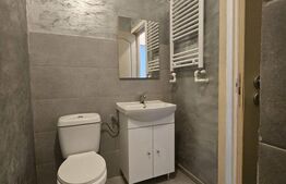 Proprietate de inchirat, 19 dormitoare, zona Dumbravita 
