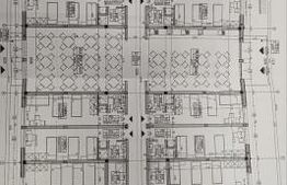 Proprietate de inchirat, 19 dormitoare, zona Dumbravita 