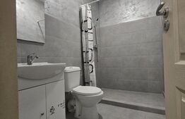 Proprietate de inchirat, 19 dormitoare, zona Dumbravita 