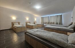 Proprietate de inchirat, 19 dormitoare, zona Dumbravita 