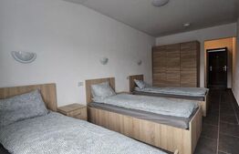 Proprietate de inchirat, 19 dormitoare, zona Dumbravita 
