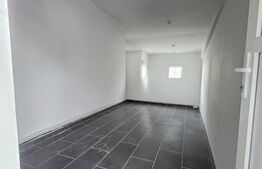 Proprietate de inchirat, 19 dormitoare, zona Dumbravita 