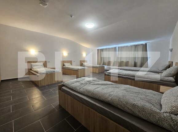 Casa de închiriat 21 camere Dumbravita - 202595CI | BLITZ Timișoara | Poza4