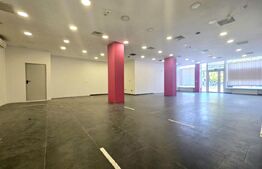 Spatiu Comercial open space, Semicentral