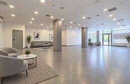 Spațiu comercial de închiriat P-ta Maria - 208256SIC | BLITZ Timișoara | Poza5