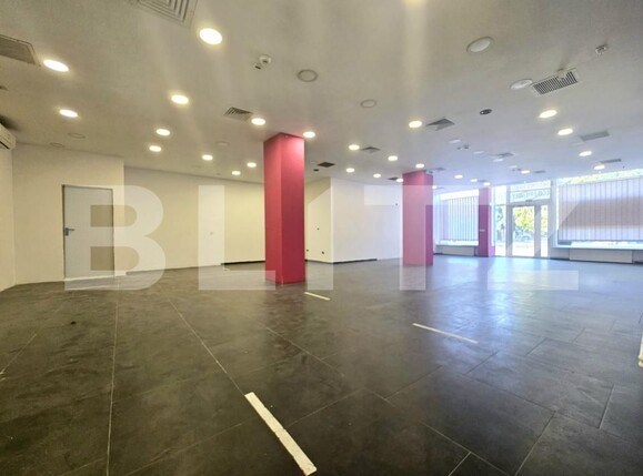 Spațiu comercial de închiriat Bogdanestilor - 202986SIC | BLITZ Timișoara | Poza3