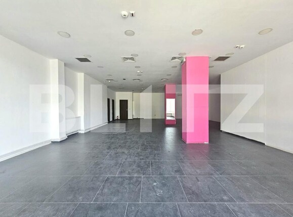 Spațiu comercial de închiriat Bogdanestilor - 202986SIC | BLITZ Timișoara | Poza1
