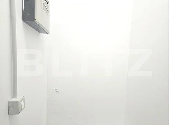 Spațiu comercial de închiriat Bogdanestilor - 202986SIC | BLITZ Timișoara | Poza8
