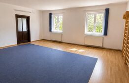 Casa 6 camere, 200 mp, zona Olimpia-Stadion