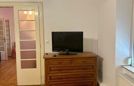 Apartament 3 camere, 100 mp, zona Dambovita