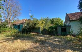 Casa cu teren, 2104 mp, front de 20 m, zona Dragsina 