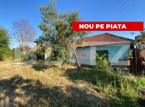 Teren de vânzare Dragsina - 203260TV | BLITZ Timișoara | Poza1