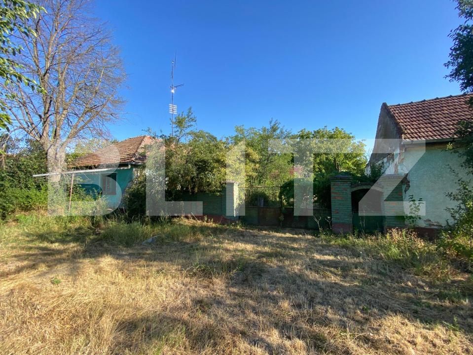Teren de vânzare Dragsina - 203260TV | BLITZ Timișoara | Poza2