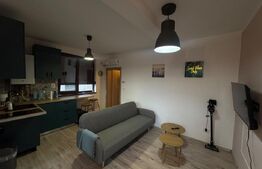Apartament cu 2 camere, 40 mp, zona Calea Urseni