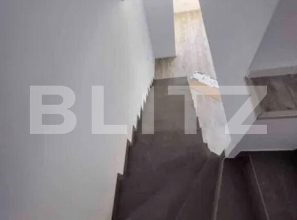 Spațiu comercial de închiriat Mosnita Noua - 203356SIC | BLITZ Timișoara | Poza3