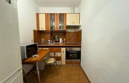 Apartament de 35 mp, zona Telegrafului/Timisoara