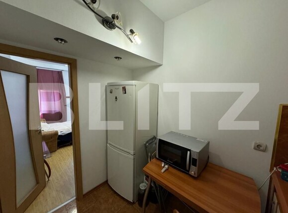 Garsonieră de vânzare Telegrafului - 203473AV | BLITZ Timișoara | Poza2