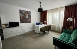 Pensiune de inchiriat, 500 mp, zona Spitalul Judetean 