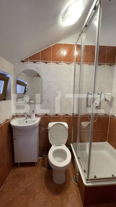 Spațiu comercial de închiriat Spitalul Judetean - 203478SIC | BLITZ Timișoara | Poza10