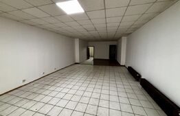 Spațiu comercial de închiriat Dambovita - 205627SIC | BLITZ Timișoara | Poza1