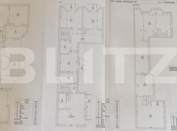 Casa de închiriat 12 camere Fratelia - 203612CI | BLITZ Timișoara | Poza4