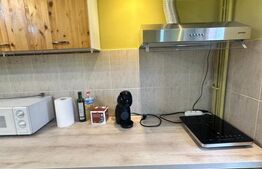 Apartament cu 3 camere, 420 €/lună, Zona AEM