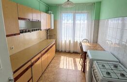 Apartament vanzare, 4 camere spațioase, 84 mp, vedere panoramică, Take Ionescu 