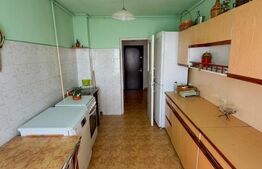 Apartament vanzare, 3 camere spațioase, 84 mp, vedere panoramică, Take Ionescu 
