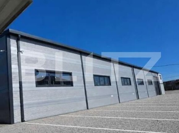 Spațiu industrial de închiriat Mehala - 203789SII | BLITZ Timișoara | Poza1