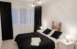 Apartament 3 camere, zona Take Ionescu