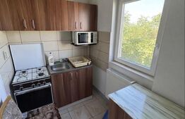  Apartament cu 1 cameră de închiriat, 250 €/lună, Girocului