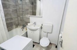 Apartament cu 1 cameră de închiriat, 250 €/lună, Girocului