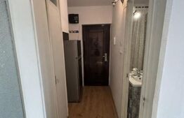  Apartament cu 1 cameră de închiriat, 250 €/lună, Girocului