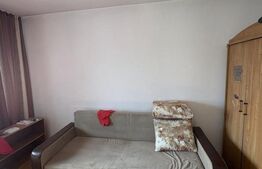  Apartament cu 1 cameră de închiriat, 250 €/lună, Girocului