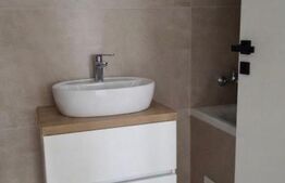 Studio 48 mp, spațiu de birou, 480 euro, Calea Torontalului