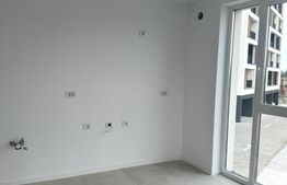 Studio 48 mp, spațiu de birou, 480 euro, Calea Torontalului