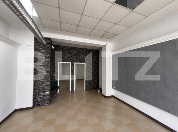 Spațiu comercial de închiriat Sagului - 203965SIC | BLITZ Timișoara | Poza3