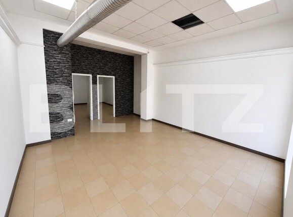 Spațiu comercial de închiriat Sagului - 203965SIC | BLITZ Timișoara | Poza1