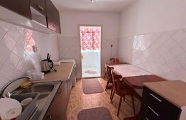 Apartament cu 2 camere, 45 mp, zona Elisabetin