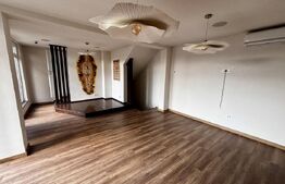 Spațiu comercial de închiriat Ghiroda - 190595SIC | BLITZ Timișoara | Poza3
