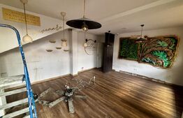 Spațiu comercial stadal 150 mp, S+P+E+M | zona Olimpia Stadion