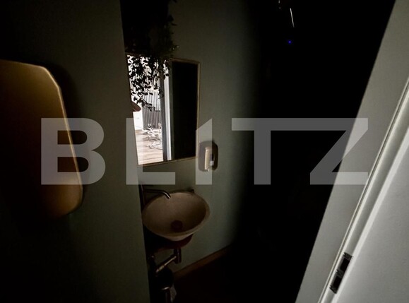 Spațiu comercial de închiriat Spitalul Judetean - 204043SIC | BLITZ Timișoara | Poza10