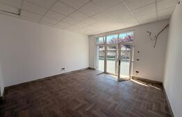Spațiu comercial de închiriat Dambovita - 188084SIC | BLITZ Timișoara | Poza2